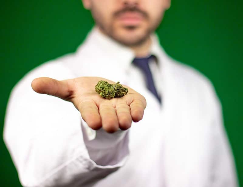 doctor holding and offering marijuana cannabis