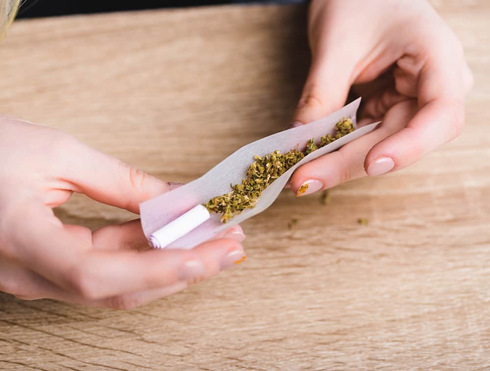 cropped view of girl rolling joint with cannabis