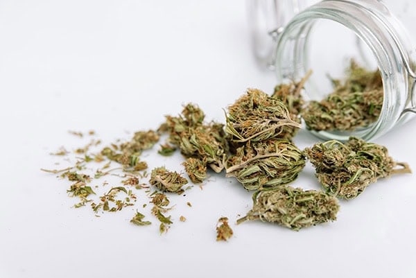 dry marijuana buds outside of a jar on a white background.